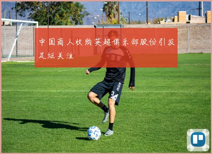 中国商人收购英超俱乐部股份引发足坛关注